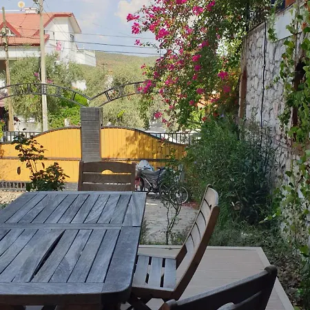 Olive No 3 Fethiye